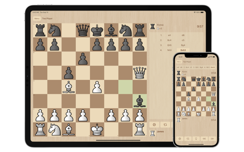 Chess Deluxe on iPad and iPhone